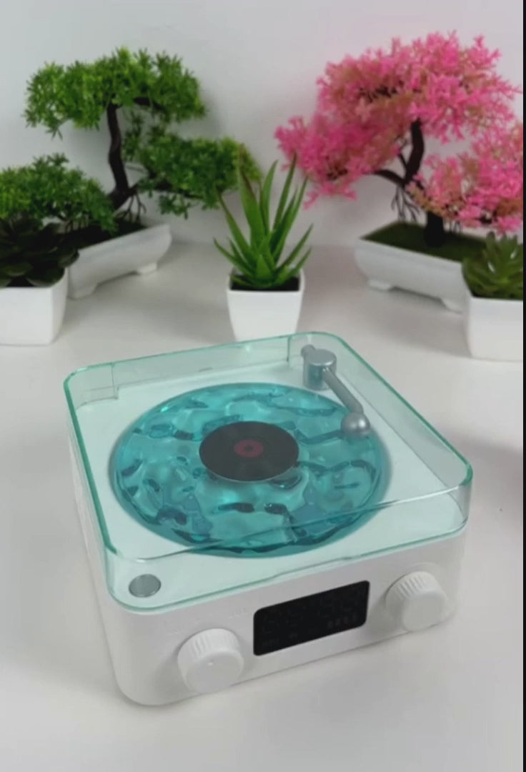 Northern Lights Vinyl Speaker